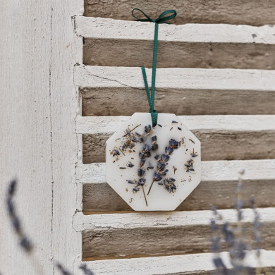 Palais Botaniques - Lavande