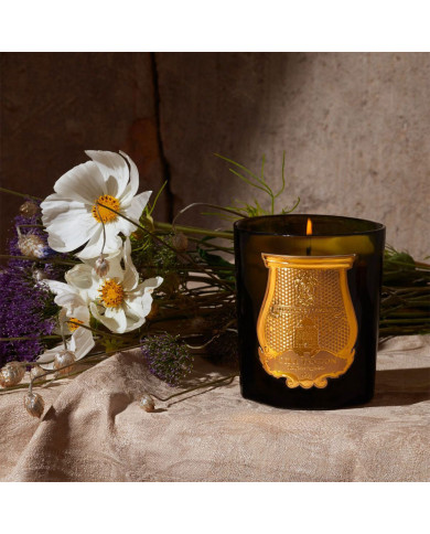 AH23 TRUDON CYRNOS 270G