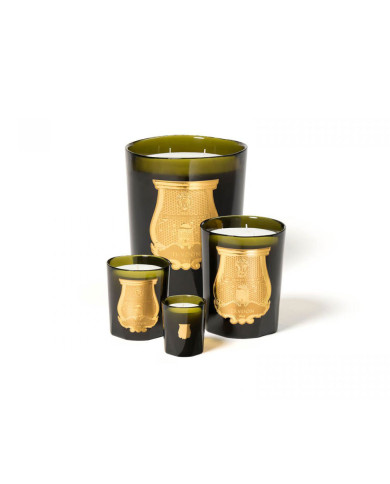 AH23 TRUDON CYRNOS 270G