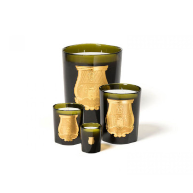 AH23 TRUDON CYRNOS 270G