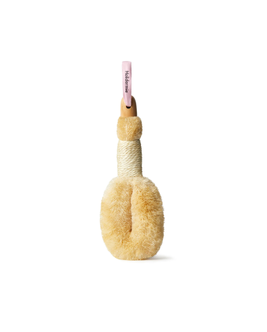Brosse corps