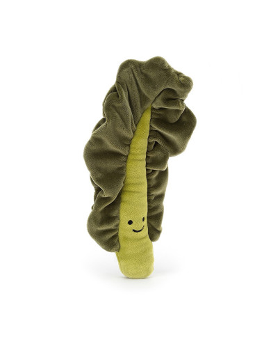 Vegetable Kale Leaf
