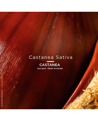 Ecrin biosource - 010 - Le Nude Castanea
