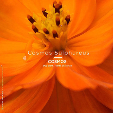 Recharge - Le Nude Astera