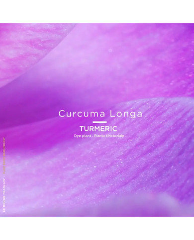 Recharge - 035 - Le Nude Zaatar