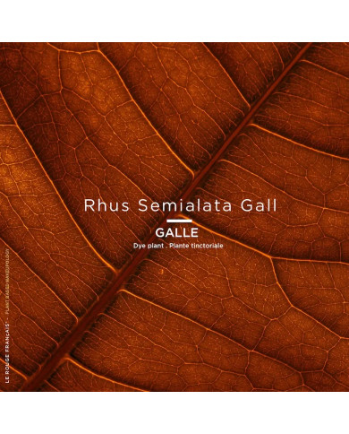 Recharge - 040 - Le Rose Licandre