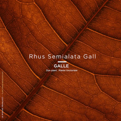 Recharge - Le Rose Licandre