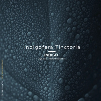 Mascara - 410 - Le Noir Cassiopée