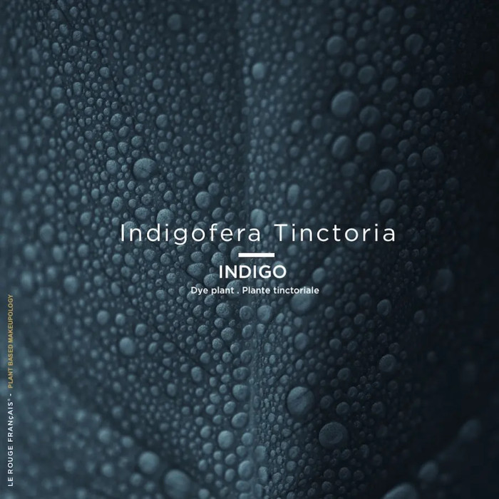 Mascara - Le Bleu Bérénice Mascara - Le Bleu Bérénice