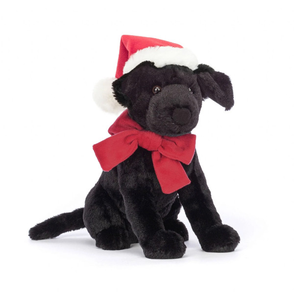 Winter warmer pippa black labrador Winter warmer pippa black labrador