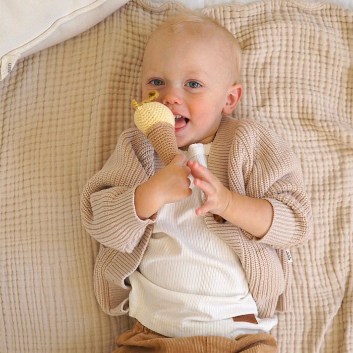 Lemon Ice Cream Rattle Lemon Ice Cream Rattle