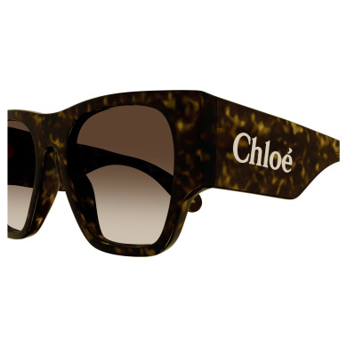 Lunettes de soleil Chloé - Shiny Dark Havana - CH0233S002 Lunettes de soleil Chloé - Shiny Dark Havana - CH0233S002