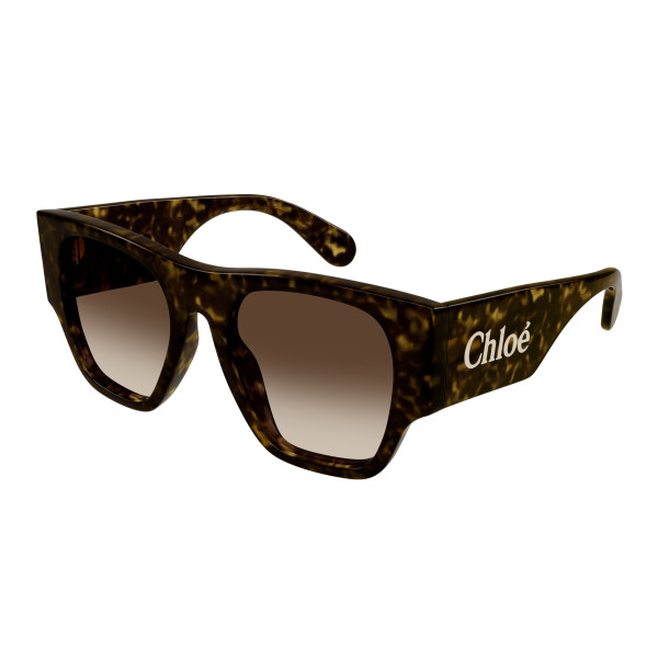 Lunettes de soleil Chloé - Shiny Dark Havana - CH0233S002 Lunettes de soleil Chloé - Shiny Dark Havana - CH0233S002
