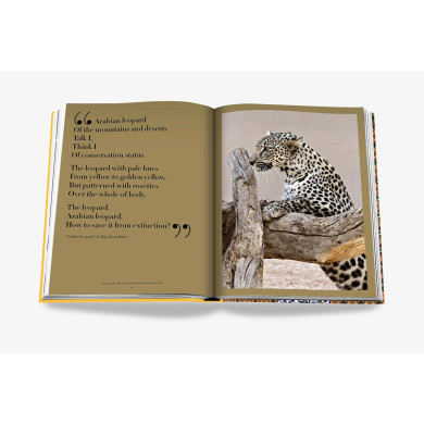 Arabian leopard : treasures of Alula - Assouline Arabian leopard : treasures of Alula - Assouline