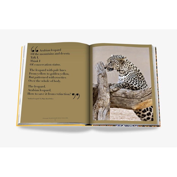 Arabian leopard : treasures of Alula - Assouline