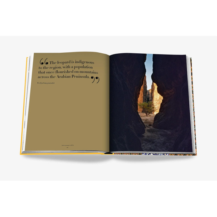 Arabian leopard : treasures of Alula - Assouline