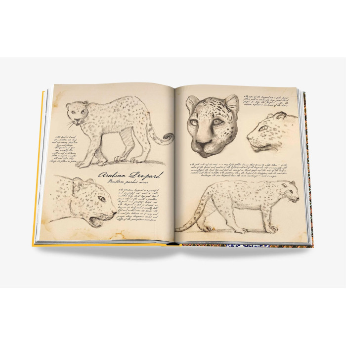 Arabian leopard : treasures of Alula - Assouline