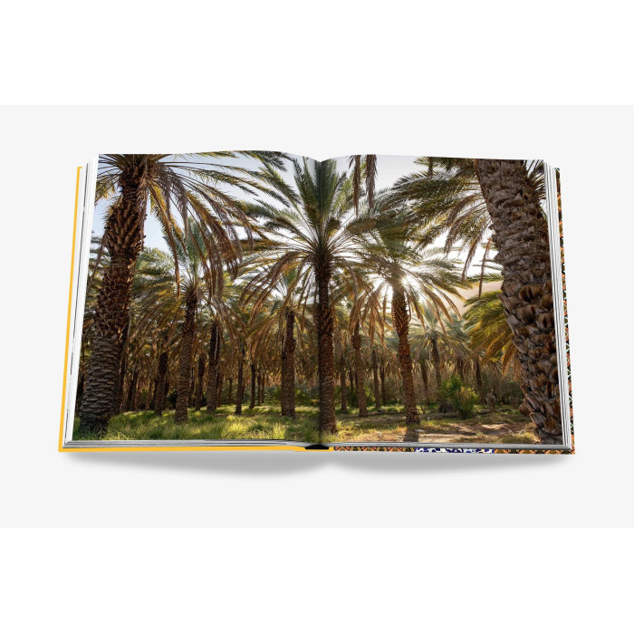 Arabian leopard : treasures of Alula - Assouline