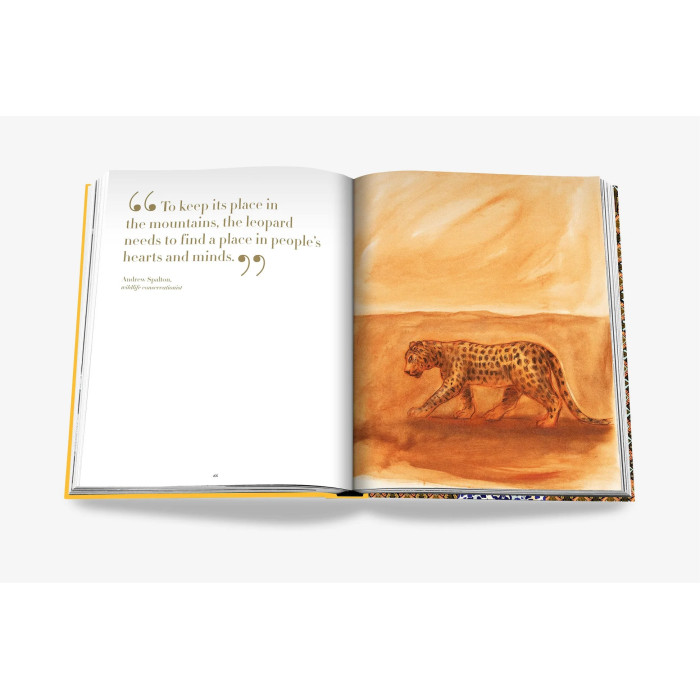 Arabian leopard : treasures of Alula - Assouline