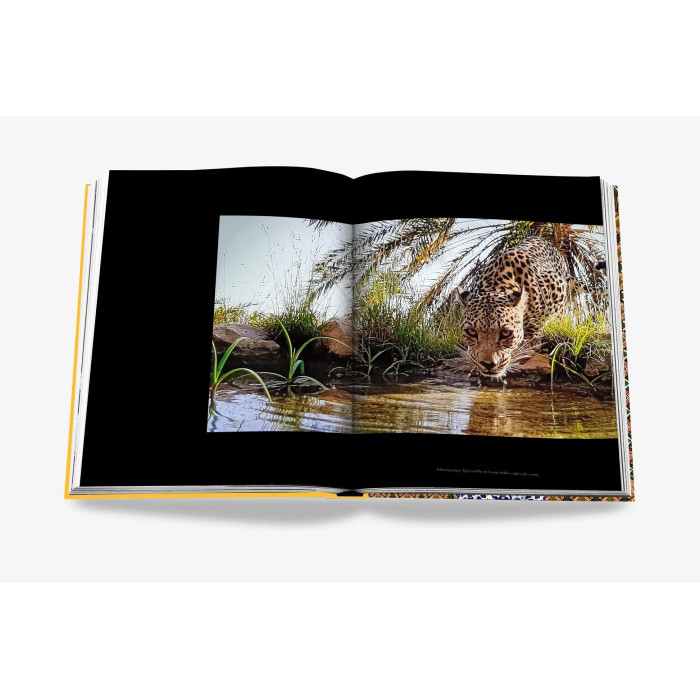 Arabian leopard : treasures of Alula - Assouline