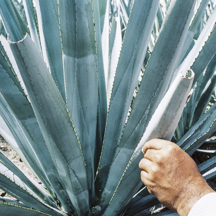 Tequila Anejo Cristalino 70cl - Komos