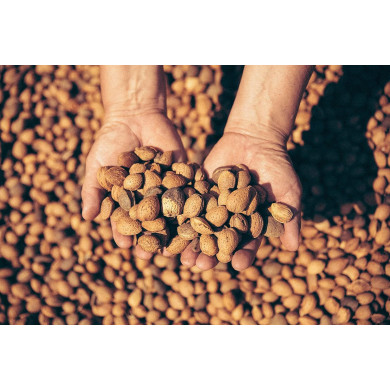 Amaretto Roasted - 70 cl