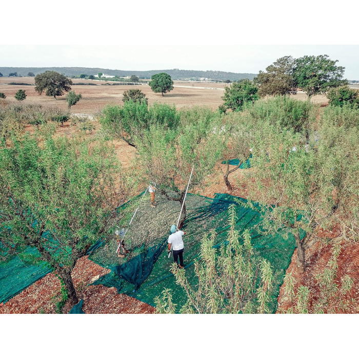 Amaretto Roasted - 70 cl