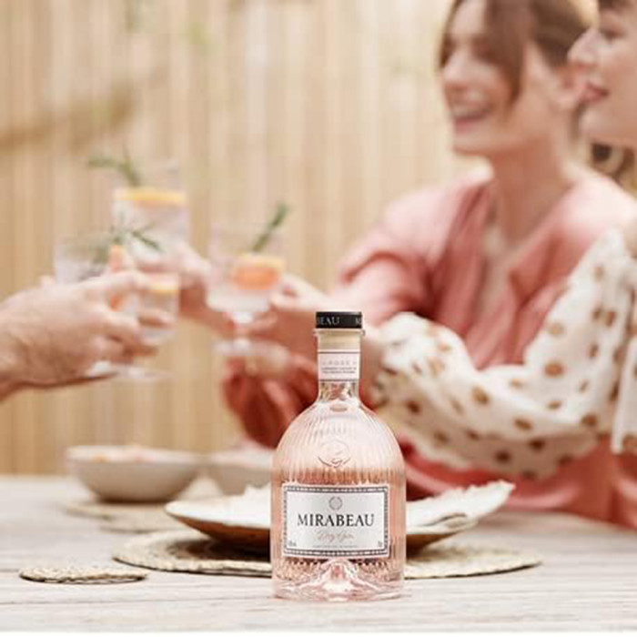 Gin Rosé - 70cl Gin Rosé - 70cl
