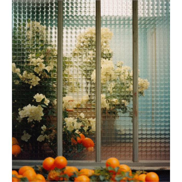 Bougie parfumée Fleur d'Oranger