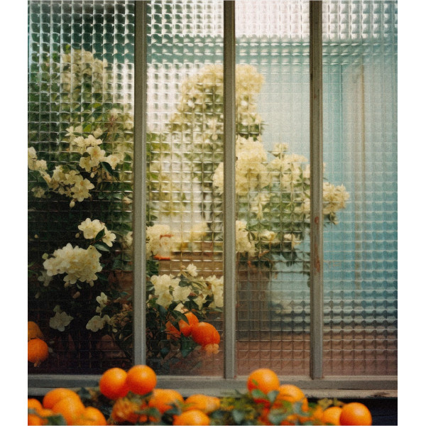 Fragranced candle Fleur d'Oranger