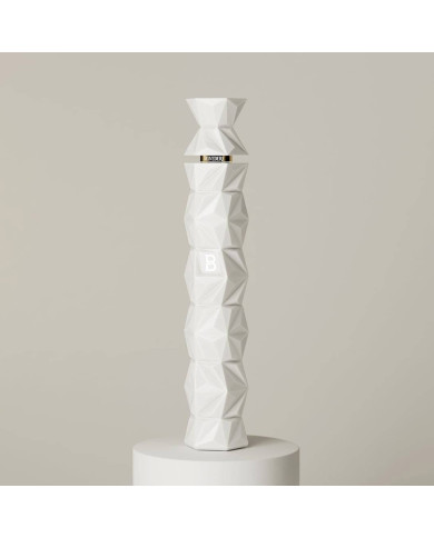 Belvedere 10 - magnum 175cl