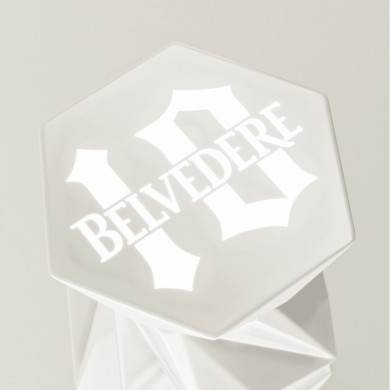 Belvedere 10 - magnum 175cl