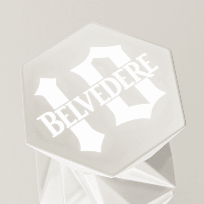 Belvedere 10 - magnum 175cl Belvedere 10 - magnum 175cl