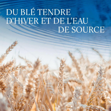 Grey Goose Vodka - 4,5L