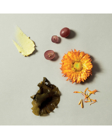 Antioxidant hand cream