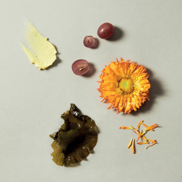 Antioxidant hand cream Antioxidant hand cream