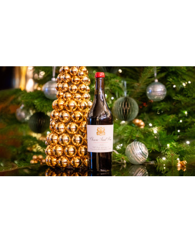 Closerie Saint Roc 2019 Côtes de Franc - 2019 - 75 cl