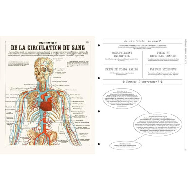 Deyrolle : leçons d'anatomie Deyrolle : leçons d'anatomie