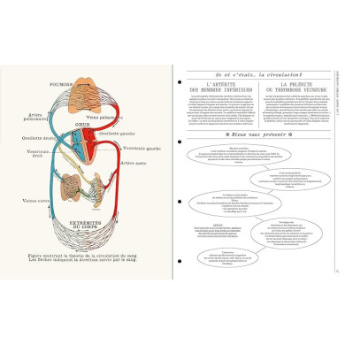 Deyrolle : leçons d'anatomie Deyrolle : leçons d'anatomie