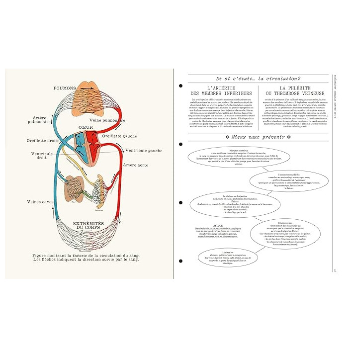 Deyrolle : leçons d'anatomie Deyrolle : leçons d'anatomie