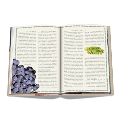 The 100 : Burgundy Exceptional Wines to Build a Dream Cellar - Assouline The 100 : Burgundy Exceptional Wines to Build a Dream Cellar - Assouline