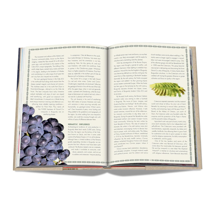 The 100 : Burgundy Exceptional Wines to Build a Dream Cellar - Assouline The 100 : Burgundy Exceptional Wines to Build a Dream Cellar - Assouline