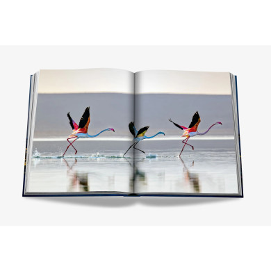 Qatar : Our Home - Assouline Qatar : Our Home - Assouline