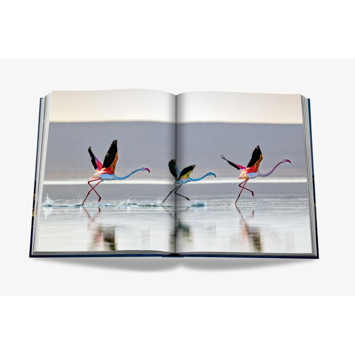 Qatar : Our Home - Assouline