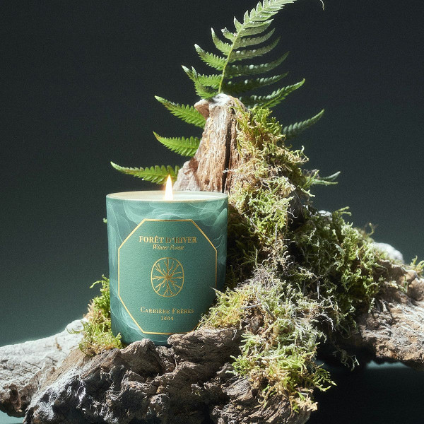 Bougie Forêt d'Hiver - 185g Bougie Forêt d'Hiver - 185g