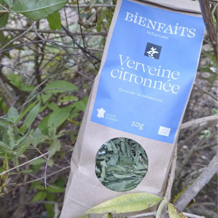 Verveine citronnée - favorise le relaxation Verveine citronnée - favorise le relaxation