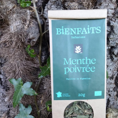 Menthe poivrée - facilite la digestion