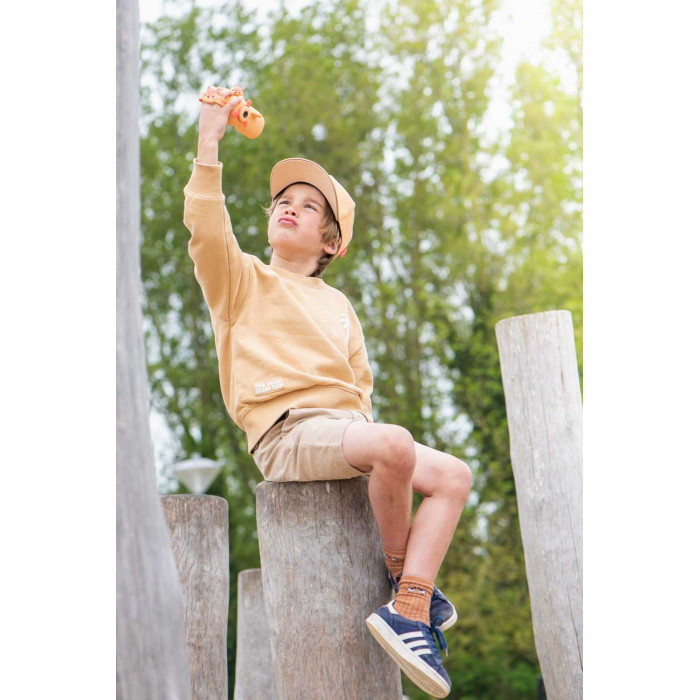 Zoo Video - Fox Zoo Video - Fox