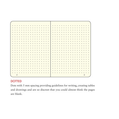 Carnet A6 rigide pocket pointillé powder