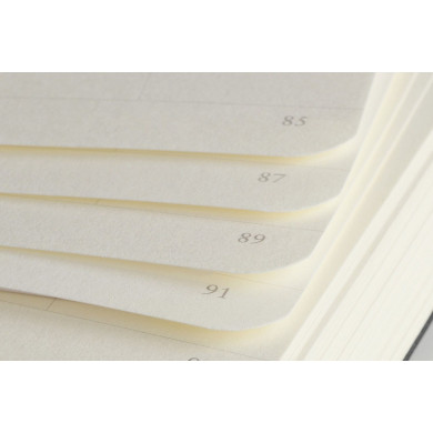 Carnet A6 rigide pocket blanc sauge